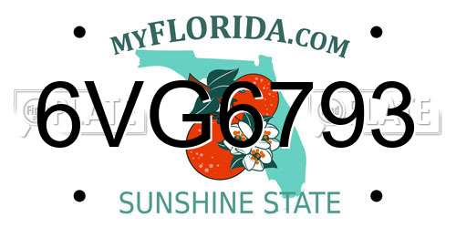 6VG6793 Florida License Plate