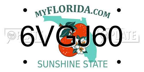 6VGJ60 Florida License Plate