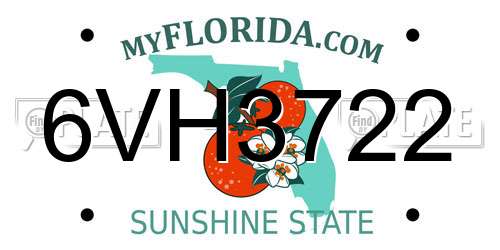 6VH3722 Florida License Plate