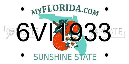 6VI1933 Florida License Plate