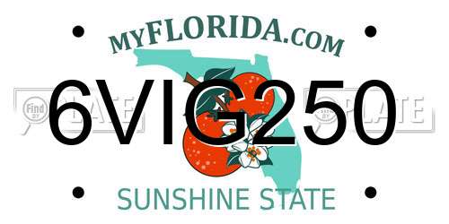 6VIG250 Florida License Plate