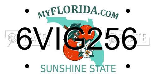 6VIG256 Florida License Plate