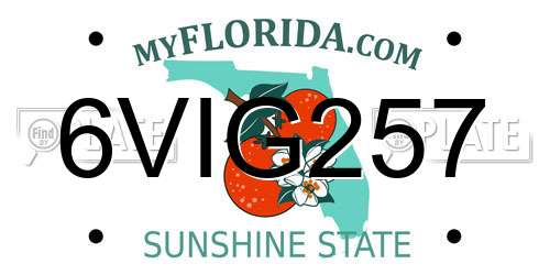 6VIG257 Florida License Plate