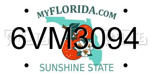 6VM3094 Florida License Plate