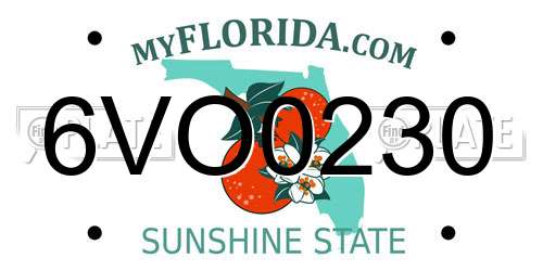 6VO0230 Florida License Plate
