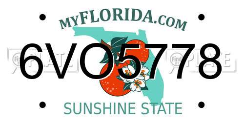 6VO5778 Florida License Plate