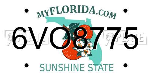 6VO8775 Florida License Plate