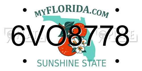 6VO8778 Florida License Plate