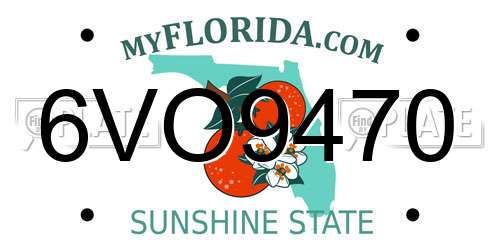 6VO9470 Florida License Plate
