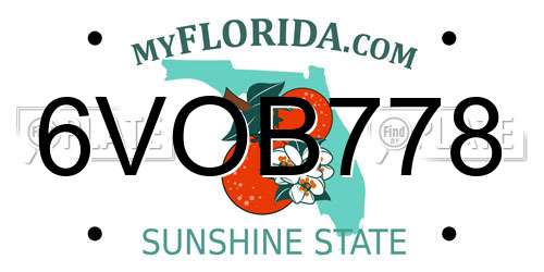 6VOB778 Florida License Plate