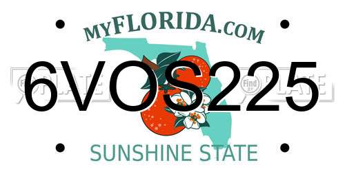 6VOS225 Florida License Plate