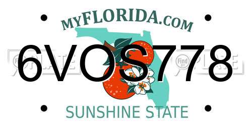 6VOS778 Florida License Plate