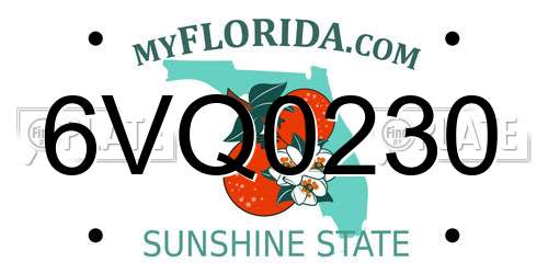 6VQ0230 Florida License Plate