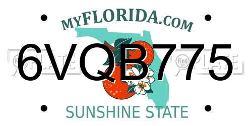 6VQB775 Florida License Plate