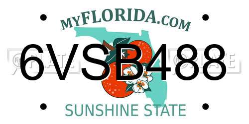 6VSB488 Florida License Plate