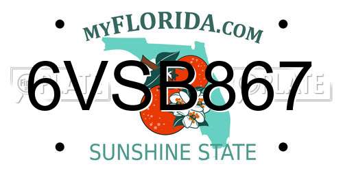 6VSB867 Florida License Plate