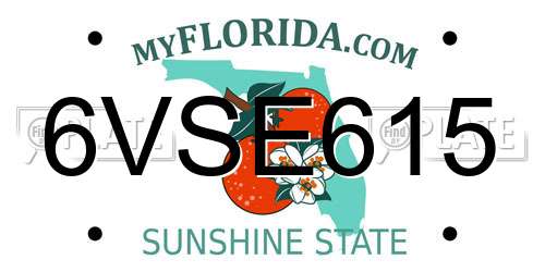 6VSE615 Florida License Plate