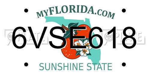 6VSE618 Florida License Plate