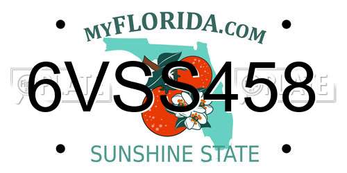 6VSS458 Florida License Plate