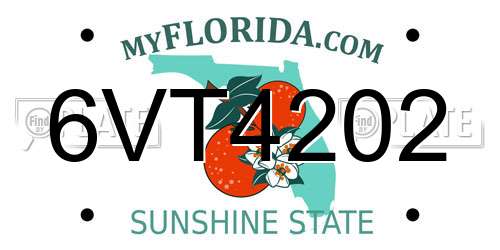 6VT4202 Florida License Plate