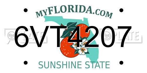 6VT4207 Florida License Plate