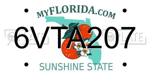 6VTA207 Florida License Plate