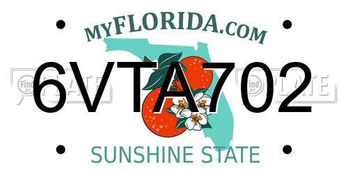 6VTA702 Florida License Plate