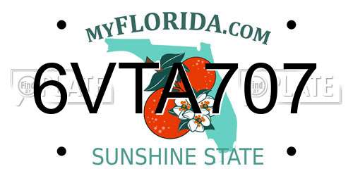 6VTA707 Florida License Plate