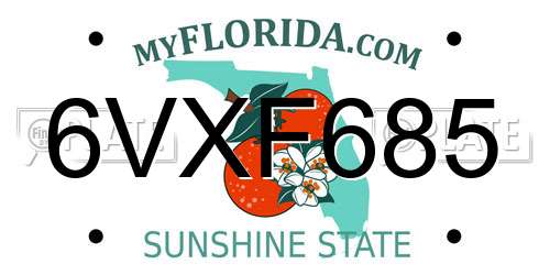 6VXF685 Florida License Plate