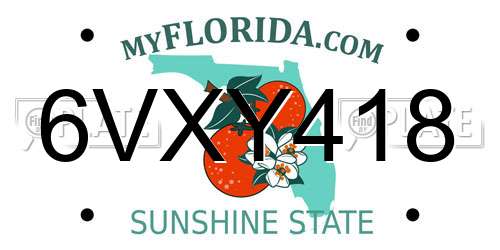 6VXY418 Florida License Plate