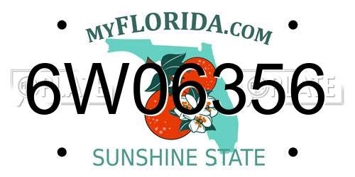 6W06356 Florida License Plate