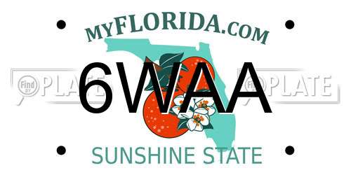6WAA Florida License Plate