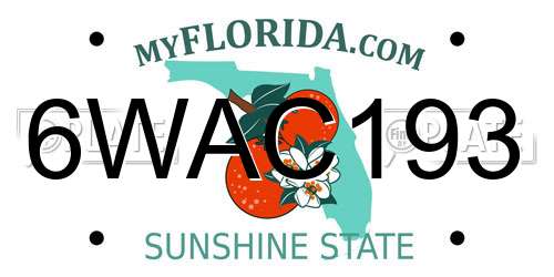 6WAC193 Florida License Plate