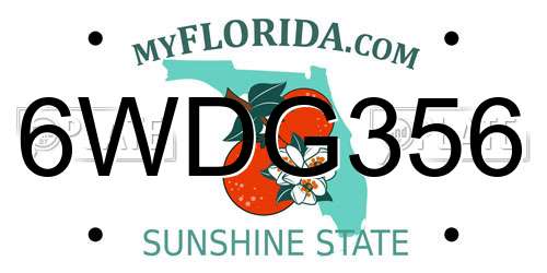 6WDG356 Florida License Plate