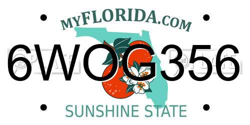 6WOG356 Florida License Plate