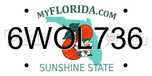 6WOL736 Florida License Plate