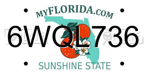 6WQL736 Florida License Plate