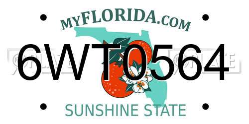 6WT0564 Florida License Plate