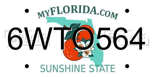 6WTO564 Florida License Plate