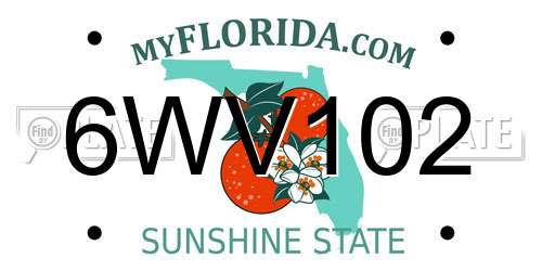 6WV102 Florida License Plate
