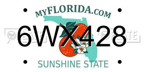 6WX428 Florida License Plate
