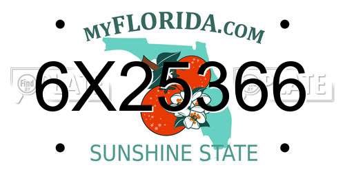 6X25366 Florida License Plate