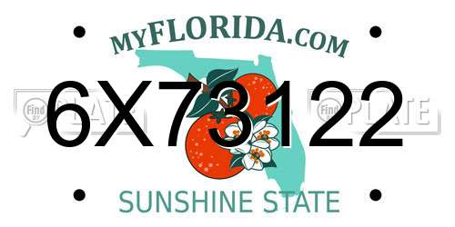 6X73122 Florida License Plate