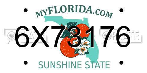6X73176 Florida License Plate