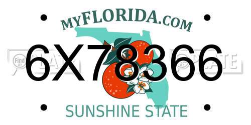 6X78366 Florida License Plate