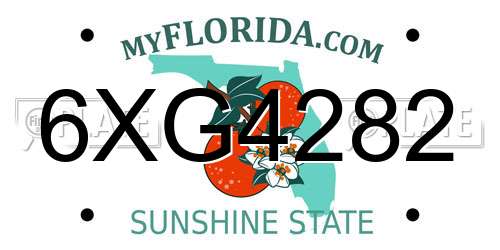 6XG4282 Florida License Plate