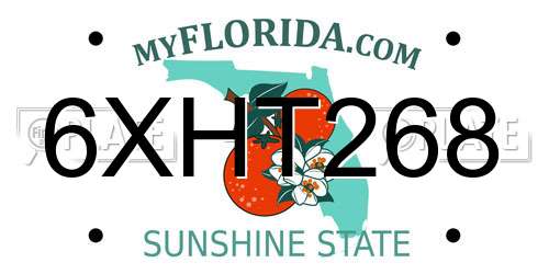 6XHT268 Florida License Plate