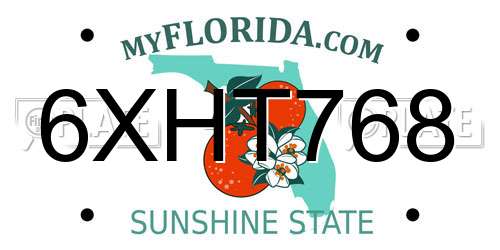 6XHT768 Florida License Plate