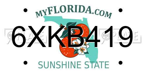 6XKB419 Florida License Plate