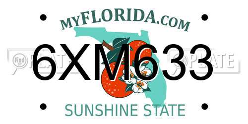 6XM633 Florida License Plate